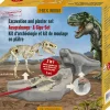 T-Rex Casting Kit: Mold, Excavate, Discover & Assemble a Dinosaur Skeleton
