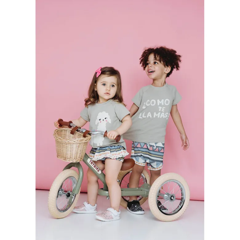 Trybike Tricycle Balance Bike, Vintage Green with Retro Look