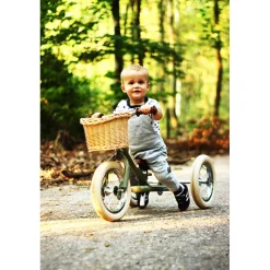 Trybike Woven Basket for Bicycle