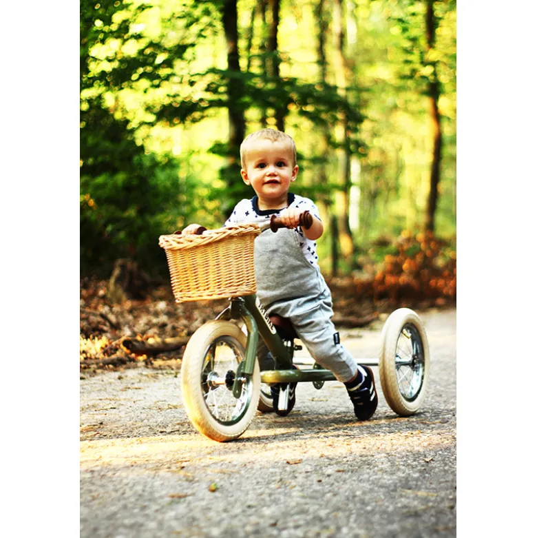 Trybike Woven Basket for Bicycle