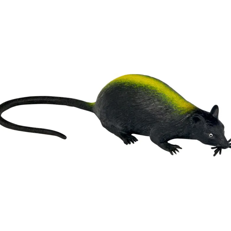 Wild+ Cool Sewer Rat